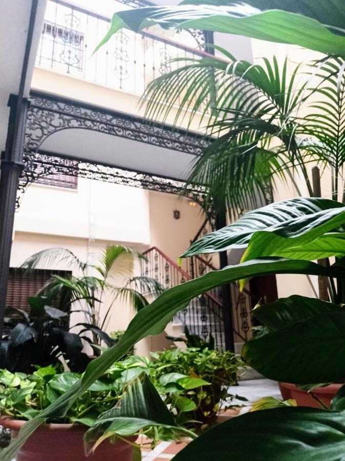 Botanic Appartement Málaga